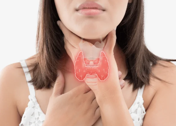 Tiroid Bezi Ne İşe Yarar?