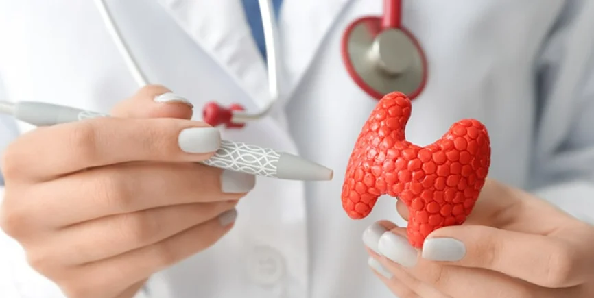 Paratiroit Cerrahisi